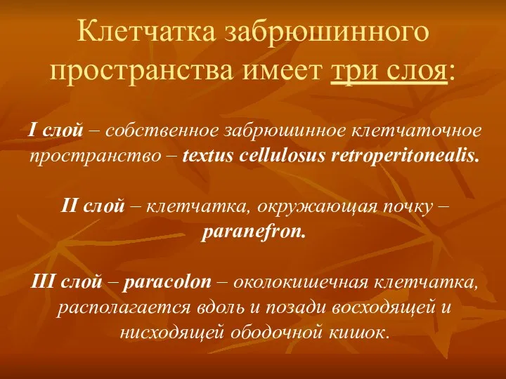 Клетчатка забрюшинного пространства имеет три слоя: I слой – собственное