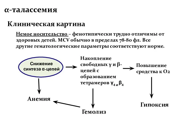 α-талассемия Клиническая картина Немое носительство – фенотипически трудно отличимы от