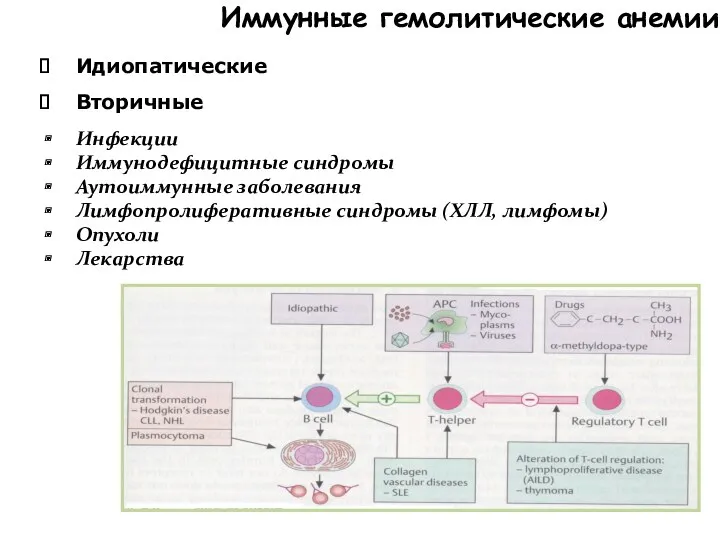 Иммунные гемолитические анемии Идиопатические Вторичные Инфекции Иммунодефицитные синдромы Аутоиммунные заболевания Лимфопролиферативные синдромы (ХЛЛ, лимфомы) Опухоли Лекарства