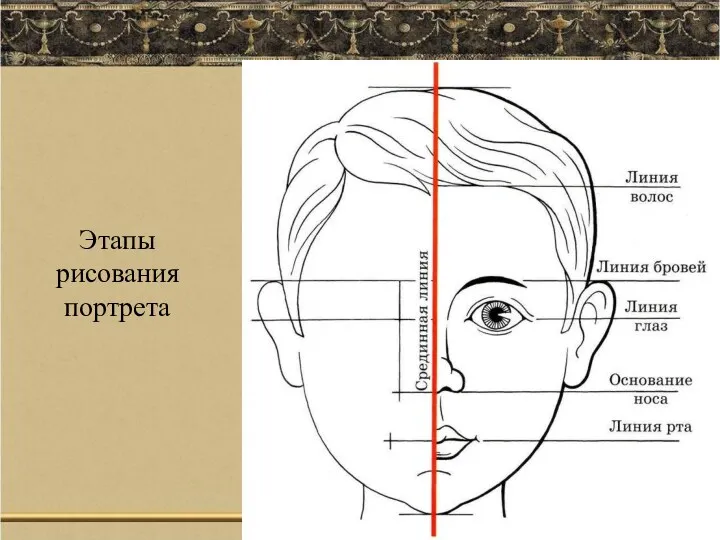 II Всероссийский интернет-конкурс мультимедийных технологий "Мастер презентаций" Этапы рисования портрета