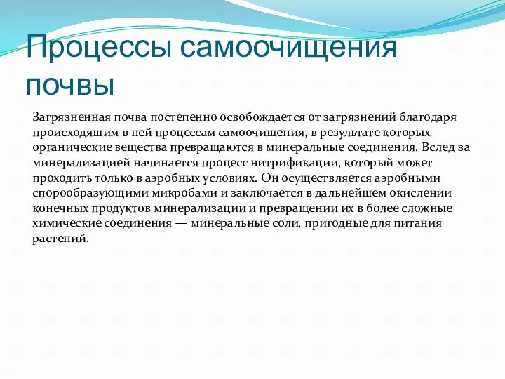 Процессы самоочищения почвы Загрязненная почва постепенно освобождается от загрязнений благодаря