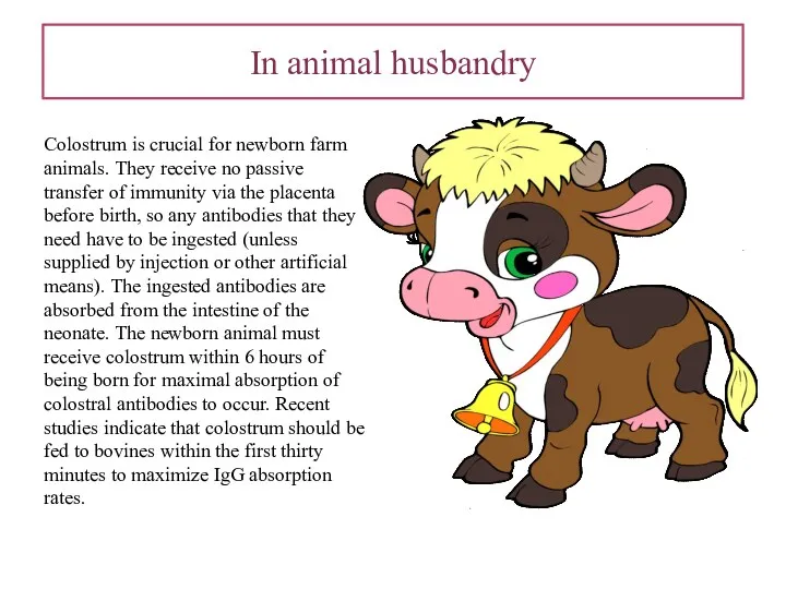 In animal husbandry Colostrum is crucial for newborn farm animals.