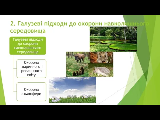 2. Галузеві підходи до охорони навколишнього середовища