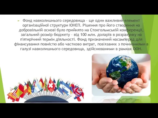 Фонд навколишнього середовища – ще один важливий елемент організаційної структури