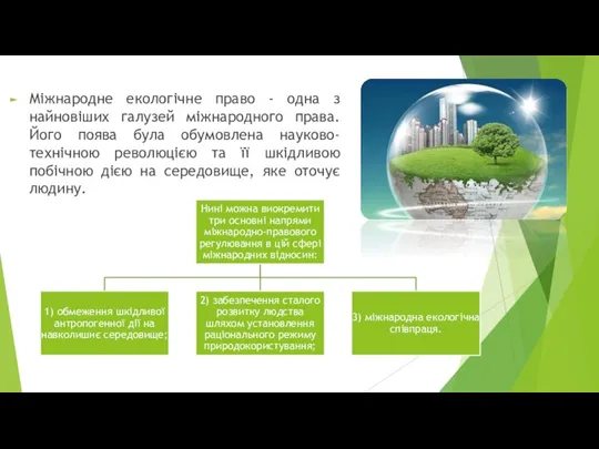 Міжнародне екологічне право - одна з найновіших галузей міжнародного права.