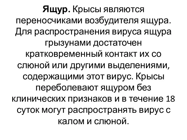 Ящур. Крысы являются переносчиками возбудителя ящура. Для распространения вируса ящура