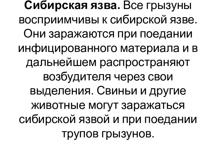 Сибирская язва. Все грызуны восприимчивы к сибирской язве. Они заражаются