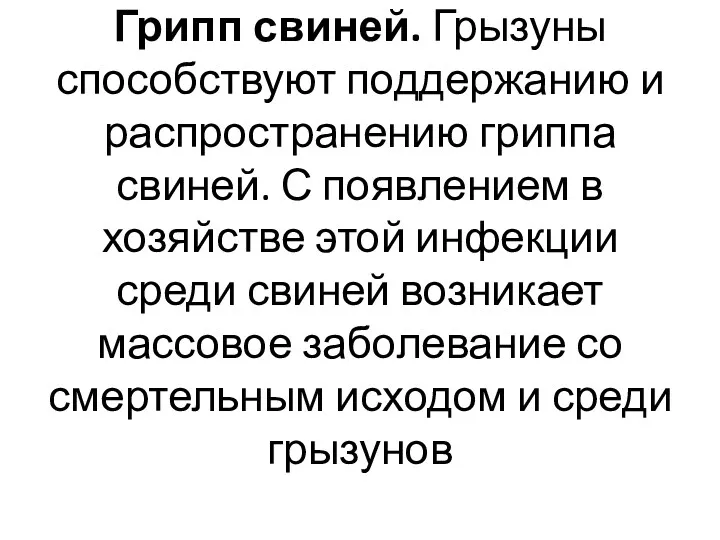 Грипп свиней. Грызуны способствуют поддержанию и распространению гриппа свиней. С