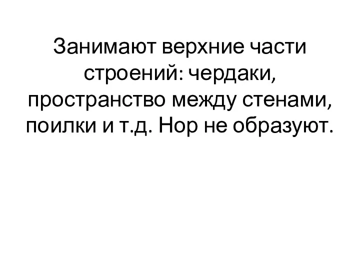 Занимают верхние части строений: чердаки, пространство между стенами, поилки и т.д. Нор не образуют.