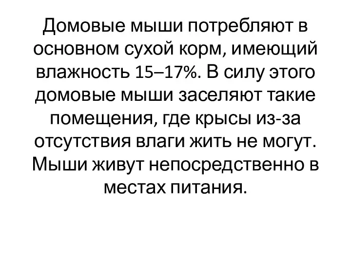 Домовые мыши потребляют в основном сухой корм, имеющий влажность 15–17%.