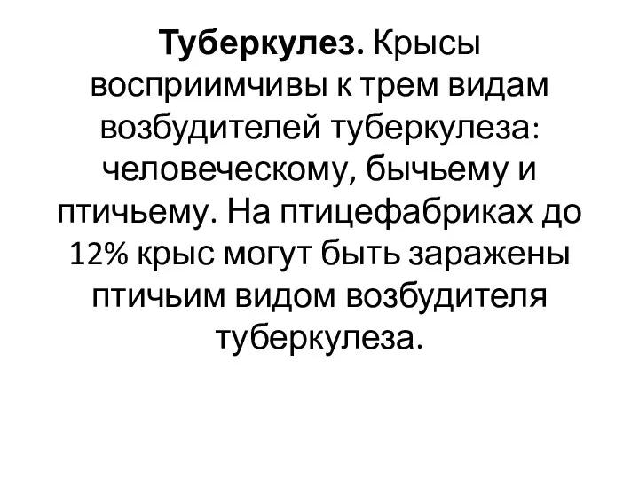 Туберкулез. Крысы восприимчивы к трем видам возбудителей туберкулеза: человеческому, бычьему