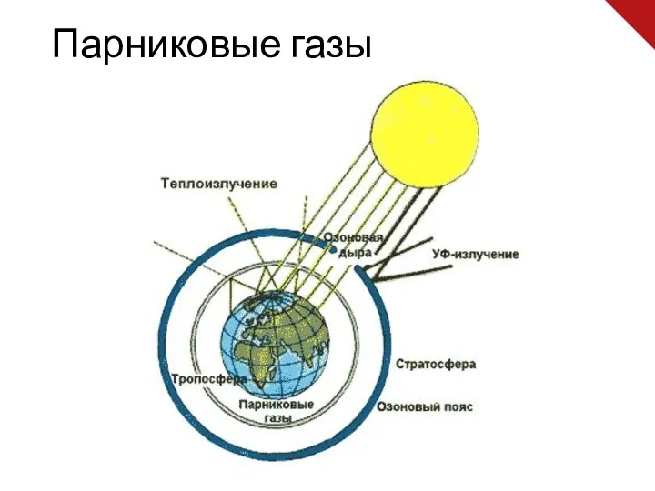 Парниковые газы