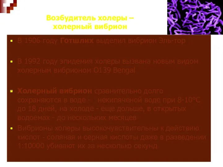 Возбудитель холеры – холерный вибрион В 1906 году Готшлих выделил