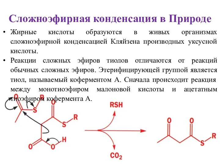 Сложноэфирная конденсация в Природе Жирные кислоты образуются в живых организмах