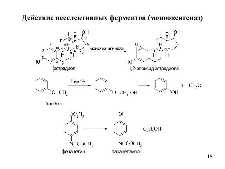 Действие неселективных ферментов (монооксигеназ) 15 анизол