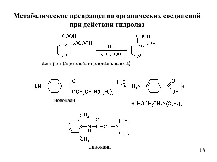 Метаболические превращения органических соединений при действии гидролаз 18 аспирин (ацетилсалициловая кислота) лидокаин