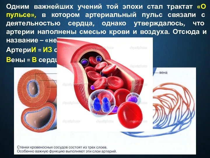 Одним важнейших учений той эпохи стал трактат «О пульсе», в