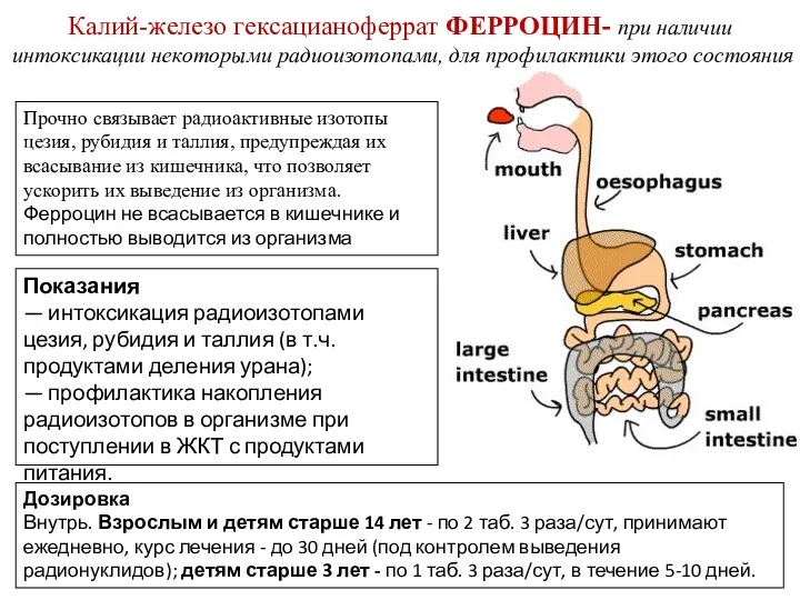 Прочно связывает радиоактивные изотопы цезия, рубидия и таллия, предупреждая их