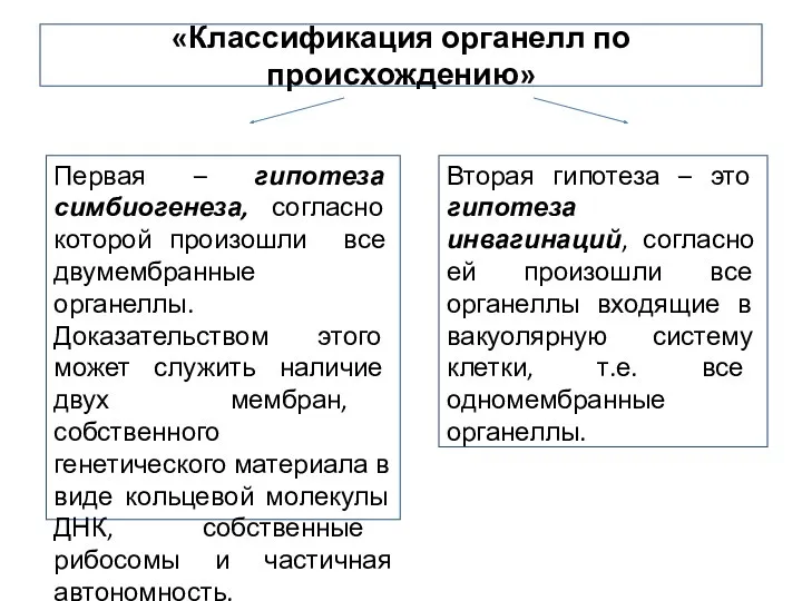 «Классификация органелл по происхождению» Первая – гипотеза симбиогенеза, согласно которой