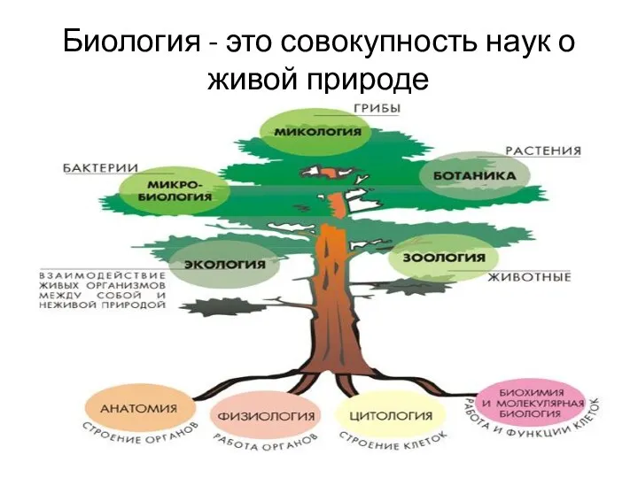 Биология - это совокупность наук о живой природе