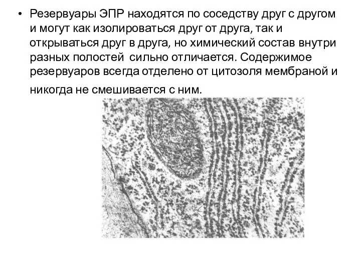 Резервуары ЭПР находятся по соседству друг с другом и могут