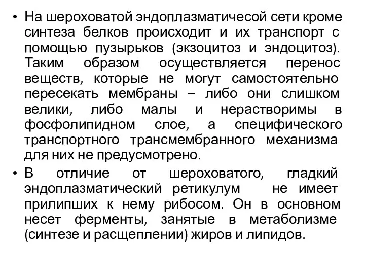 На шероховатой эндоплазматичесой сети кроме синтеза белков происходит и их