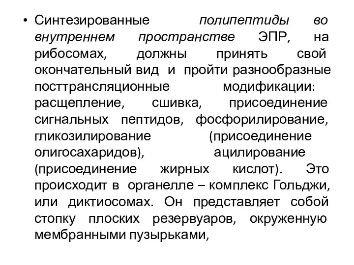 Синтезированные полипептиды во внутреннем пространстве ЭПР, на рибосомах, должны принять