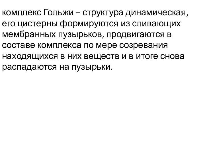 комплекс Гольжи – структура динамическая, его цистерны формируются из сливающих