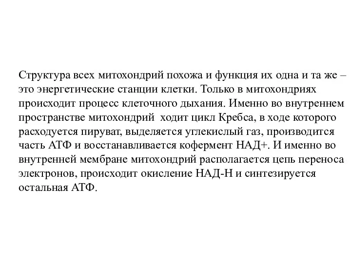 Структура всех митохондрий похожа и функция их одна и та