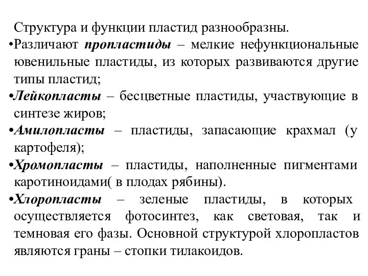 Структура и функции пластид разнообразны. Различают пропластиды – мелкие нефункциональные