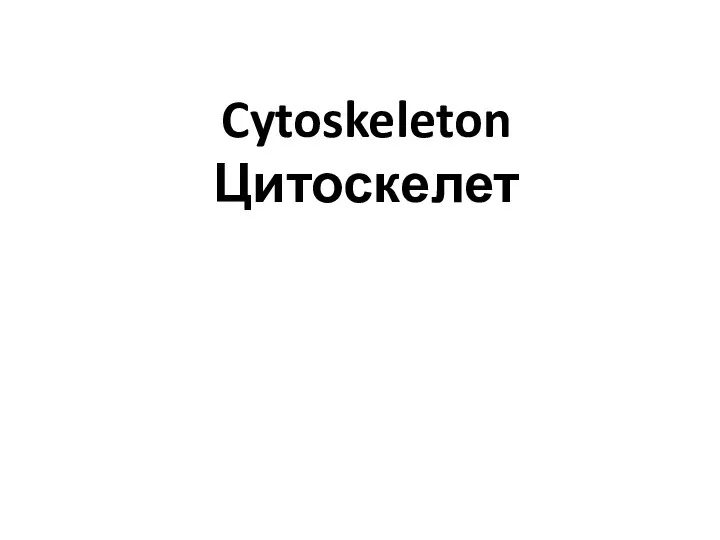 Cytoskeleton Цитоскелет