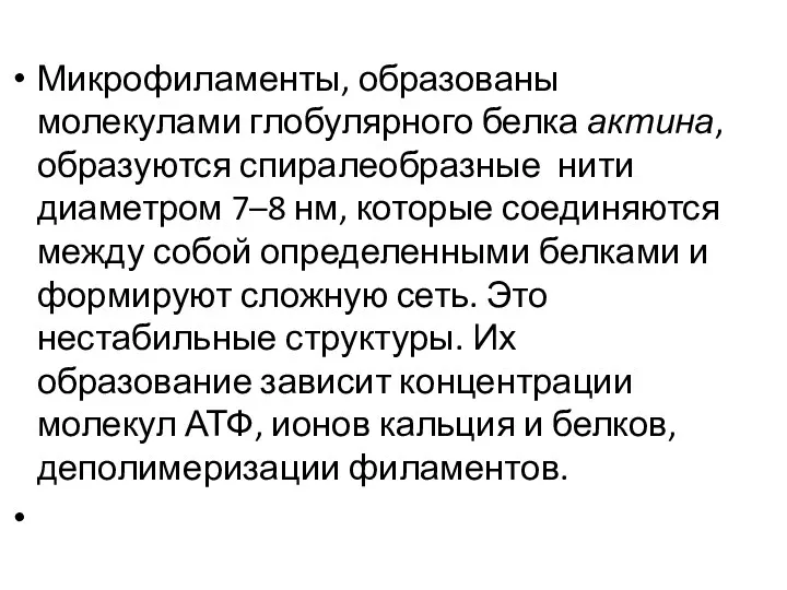 Микрофиламенты, образованы молекулами глобулярного белка актина, образуются спиралеобразные нити диаметром