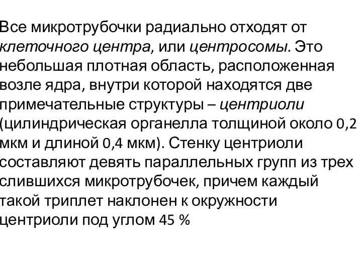 Все микротрубочки радиально отходят от клеточного центра, или центросомы. Это