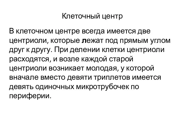 Клеточный центр В клеточном центре всегда имеется две центриоли, которые