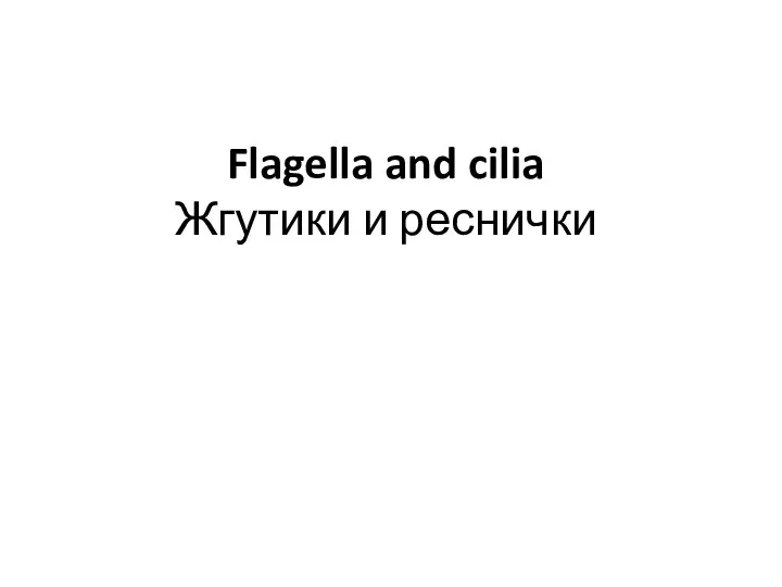 Flagella and cilia Жгутики и реснички