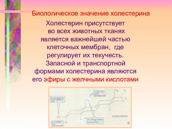 Холестерин присутствует во всех животных тканях является важнейшей частью клеточных