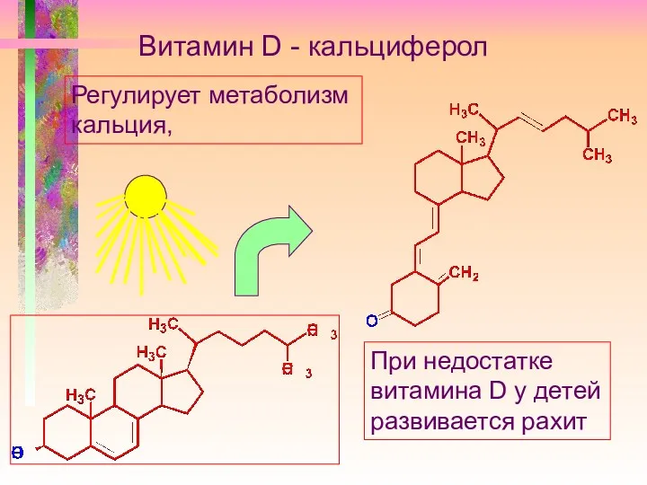 Витамин D - кальциферол Регулирует метаболизм кальция, При недостатке витамина D у детей развивается рахит