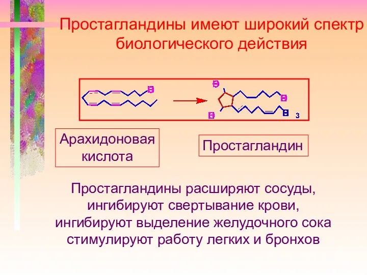 Простагландины имеют широкий спектр биологического действия Арахидоновая кислота Простагландин Простагландины