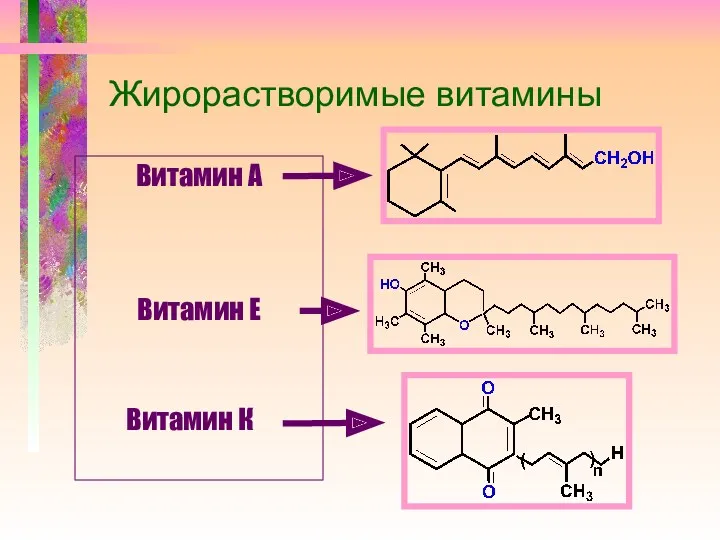 Жирорастворимые витамины Витамин А Витамин Е Витамин К