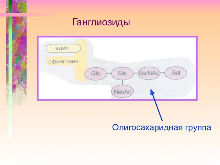 Ганглиозиды Олигосахаридная группа