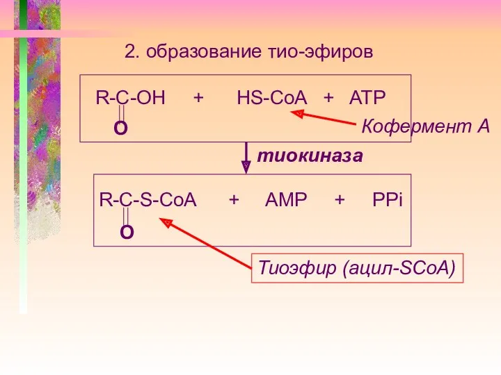 2. образование тио-эфиров R-С-ОН + НS-CoA + ATP О тиокиназа