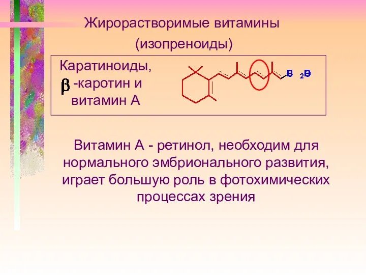 (изопреноиды) Каратиноиды, -каротин и витамин А Жирорастворимые витамины Витамин А