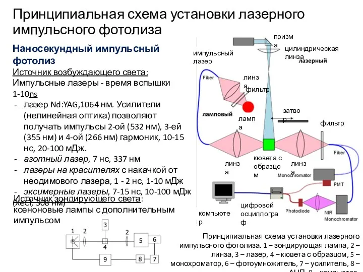 Наносекундный импульсный фотолиз Источник возбуждающего света: Импульсные лазеры - время