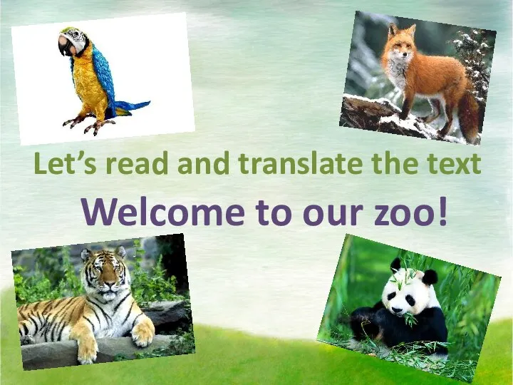 Let’s read and translate the text Welcome to our zoo!