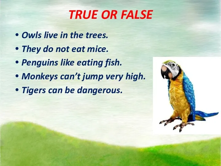 TRUE OR FALSE Owls live in the trees. They do