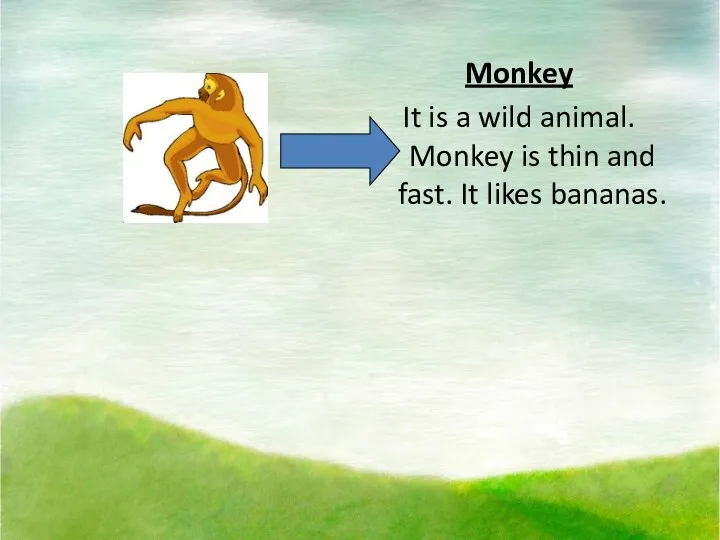 Monkey It is a wild animal. Monkey is thin and fast. It likes bananas.