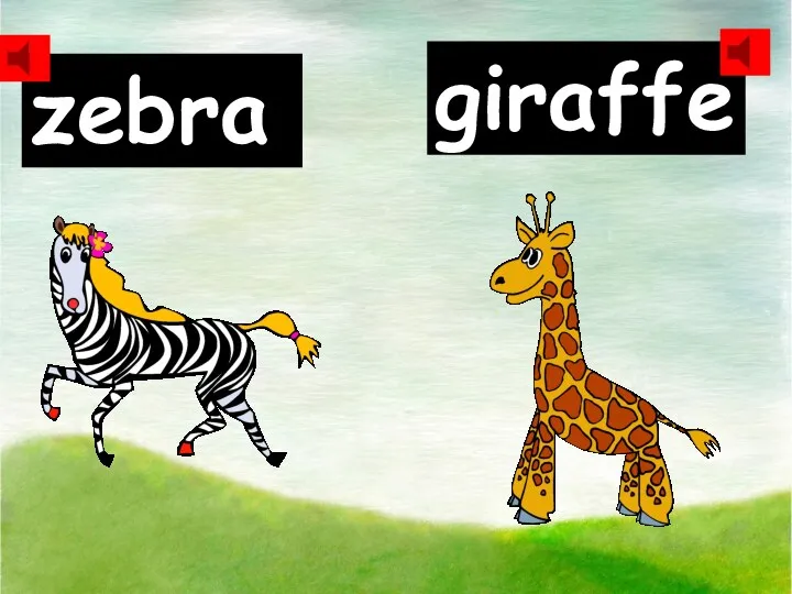 zebra giraffe