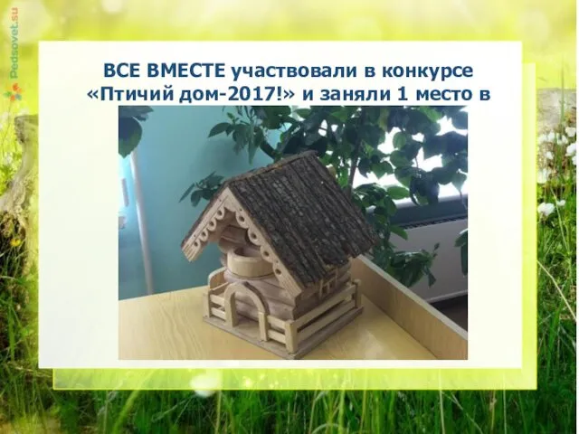 ВСЕ ВМЕСТЕ участвовали в конкурсе «Птичий дом-2017!» и заняли 1 место в республике