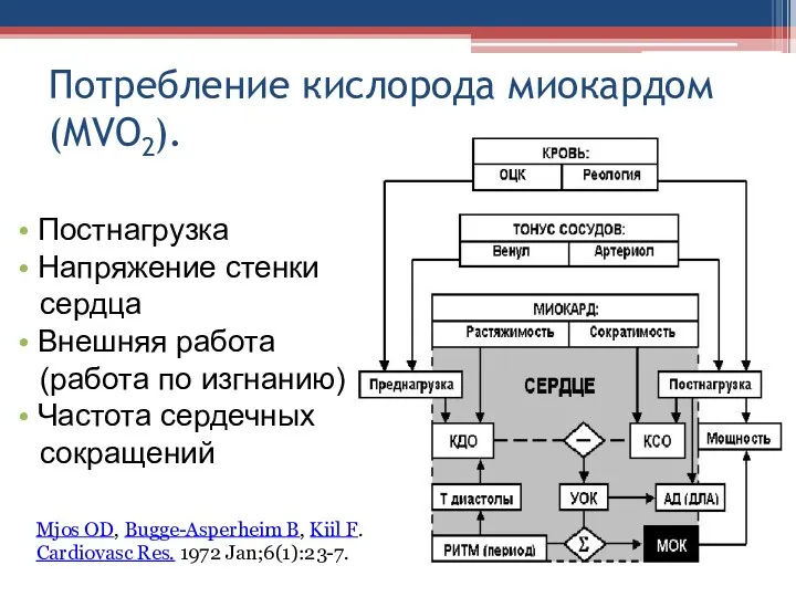 Потребление кислорода миокардом (MVO ). 2 • Постнагрузка • Напряжение