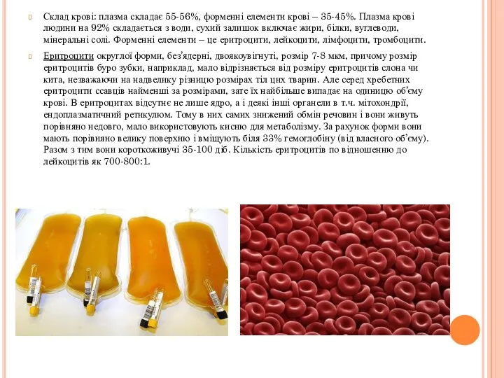 Склад крові: плазма складає 55-56%, форменні елементи крові – 35-45%. Плазма крові людини